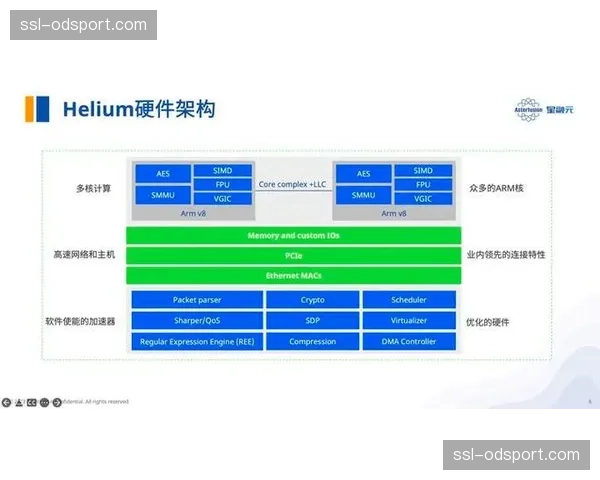 智能网卡与DPU技术应用，将网络处理任务从CPU卸载以提升效能